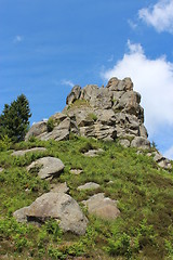 Image showing sheafs of hay standing in Carpathian mountains
