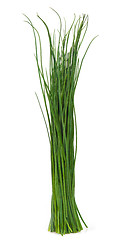 Image showing Bunch of chives