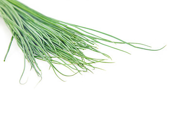 Image showing Bunch of chives