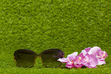 Image showing brown Sunglasses on greeen grass