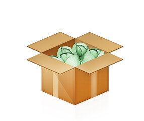 Image showing Green cabbage in cardboard box