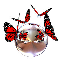 Image showing Red butterfly on a chrome reflective sphere