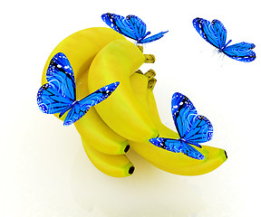 Image showing Blue butterflys on a bananas