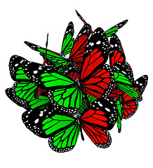 Image showing Butterflies