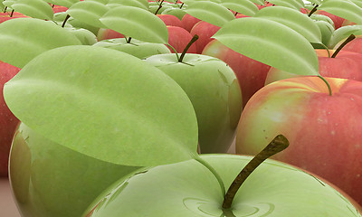 Image showing apples 