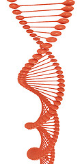 Image showing DNA structure model 