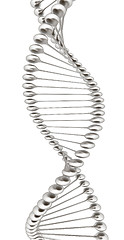 Image showing DNA structure model 