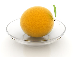 Image showing Citrus