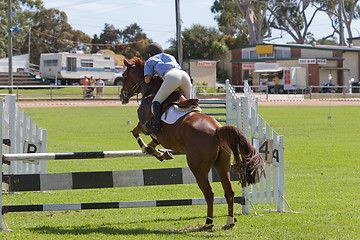 Image showing Horse Jumping