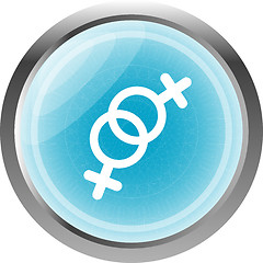 Image showing sex web glossy icon isolated on white