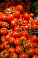 Image showing background of red tomatoes with sprig  