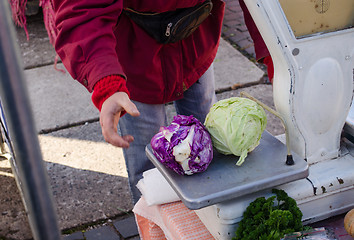 Image showing green and purple cabbage lie on old metal scales  