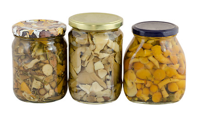 Image showing jar of variety forest mushrooms isolated on white  
