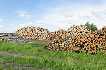 Image showing firewood fuel birch and pine logs stack forest 