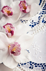 Image showing Close-up of white orchids flowers
