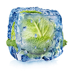 Image showing Ice cube with brussel sprouts