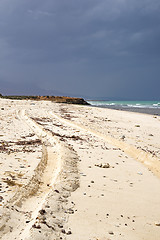 Image showing Oman beach