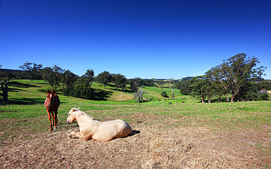 Image showing Picturesque Australian landscape