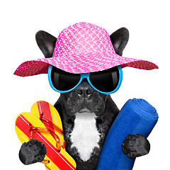 Image showing french bulldog  on vacation 