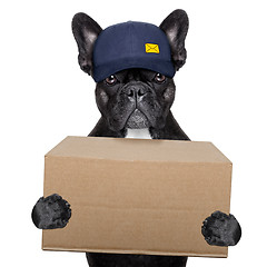 Image showing delivery post dog