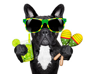 Image showing brazilian french bulldog