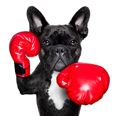 Image showing boxing dog 