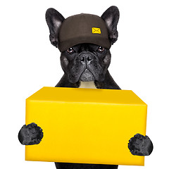 Image showing delivery post dog