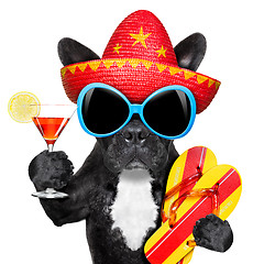 Image showing mexican dog