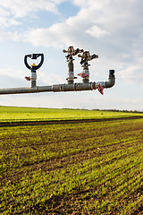 Image showing irrigation on lettuce fields