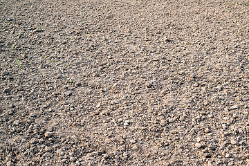 Image showing ploughed field