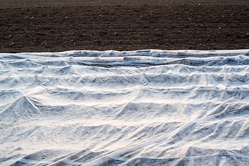 Image showing Field with greenhouse