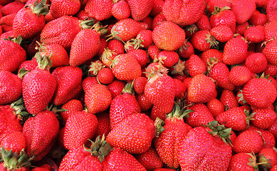 Image showing Strawberries2