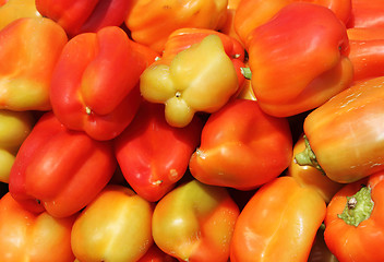 Image showing Red peppers