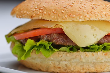 Image showing hamburger