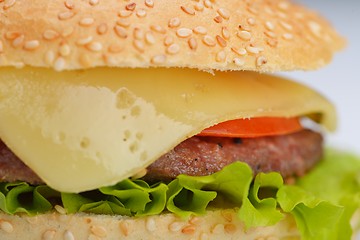 Image showing hamburger