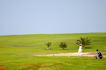 Image showing Man playing golf