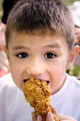 Image showing Crispy Chicken