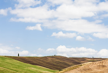 Image showing Tuscany agriculture