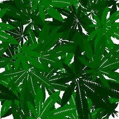 Image showing Marijuana Leaves  Pattern