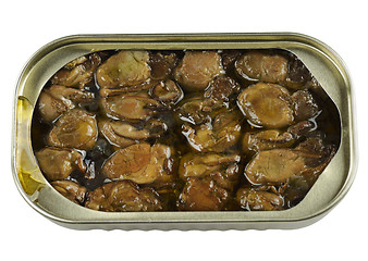 Image showing Canned Smoked Oysters