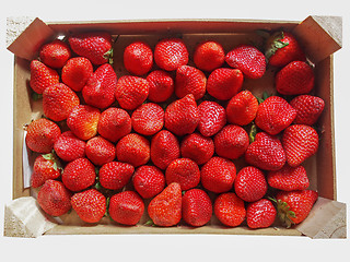 Image showing Strawberries fruits