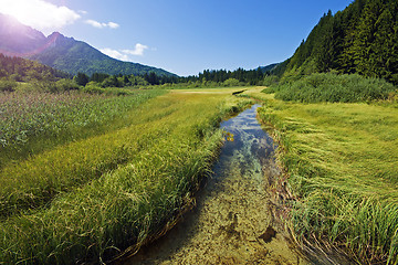 Image showing River