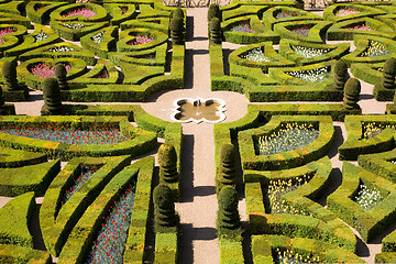 Image showing Gardens of Villandry