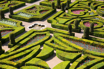 Image showing Gardens of Villandry