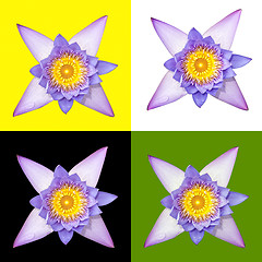 Image showing Nymphaea nouchali flower