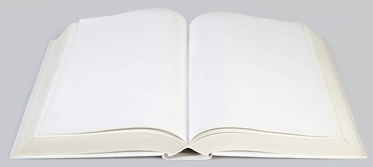 Image showing Middle of the Book Cutout