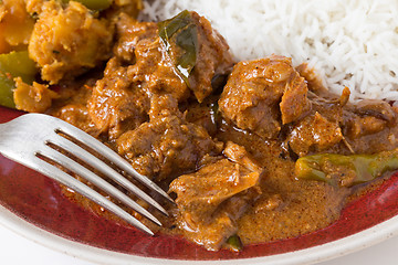 Image showing Chicken curry and white rice closeup