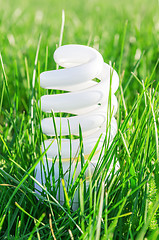 Image showing eco bulb in green grass