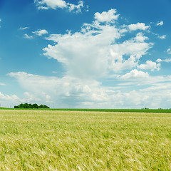 Image showing blue cloudy sky and green field