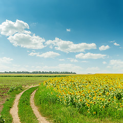 Image showing sky and clouds over field with sunflowers